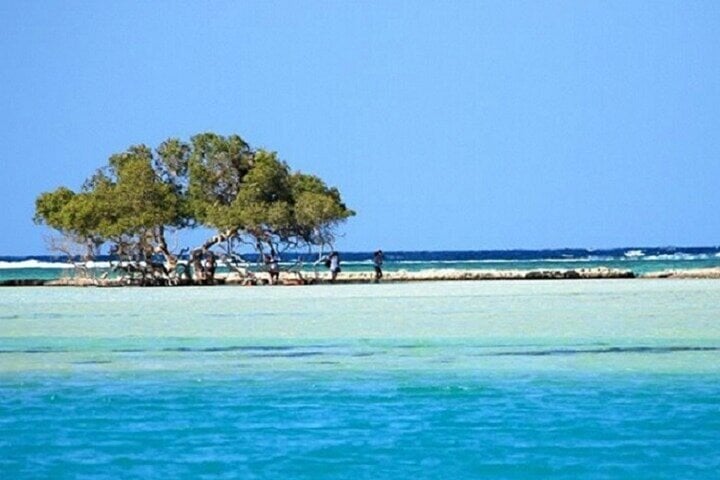 Hamata and Qulaan Islands Snorkelling Trip with Lunch in Marsa Alam, photo 2