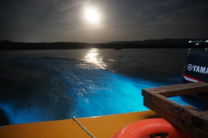 Bioluminescent Lagoon Boat Tour in Falmouth, Foto 4