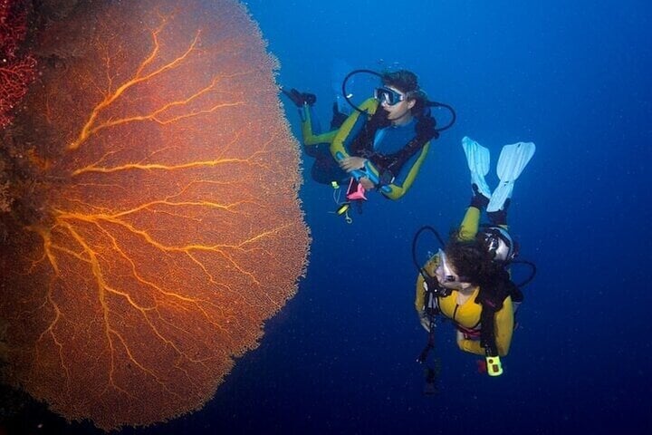 Scuba Diving Boat Trip for Certified Divers – 2 Stops with Lunch in Hurghada, photo 2