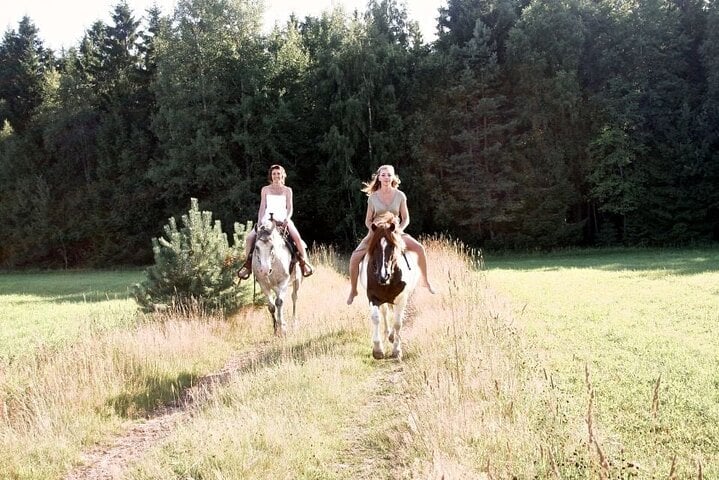 Discover Forests and Rivers: 2 Hours Horseback Riding in Agadir, photo 2
