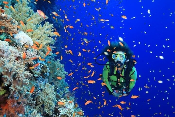 PADI Advanced Open Water Diving Course in the Red Sea in Sharm El Sheikh, photo 3