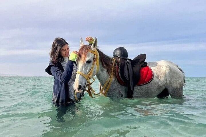 Swimming by Horse: 3 Hours on Beach and Desert with Transfer in Hurghada, photo 3