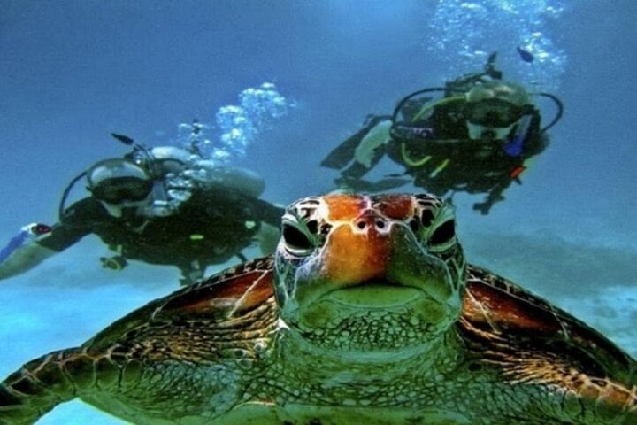 Beginners Scuba Diving Boat Trip - 2 Stops with Lunch in Marsa Alam, photo 5