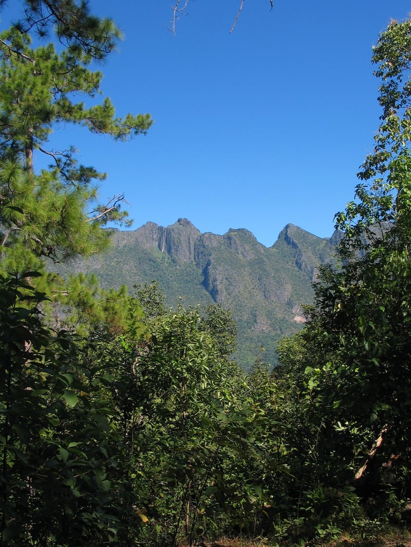 Full-Day Himalayan Mountain Bike XC and DH in Chiang Dao, photo 3