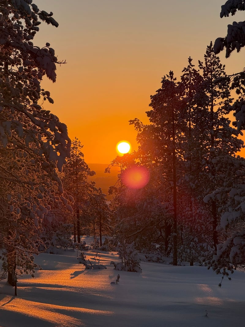 Escursione artica in motoslitta a Rovaniemi, foto 3