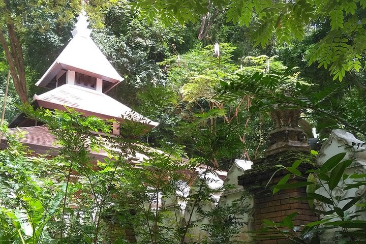3-Hour Monk Trail Hike to Wat Doi Suthep in Chiang Mai, photo 3