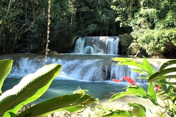 Waterfall Swimming and River Safari in Saint Elizabeth, photo 4