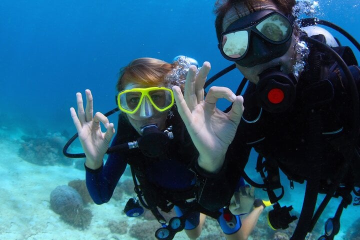 Daily Diving Experience with Lunch in Sharm El Sheikh, photo 3
