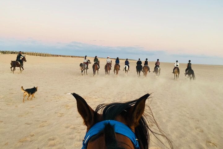 Horse Riding: 2 Hours Sea and Desert with Transfer in Hurghada, photo 4