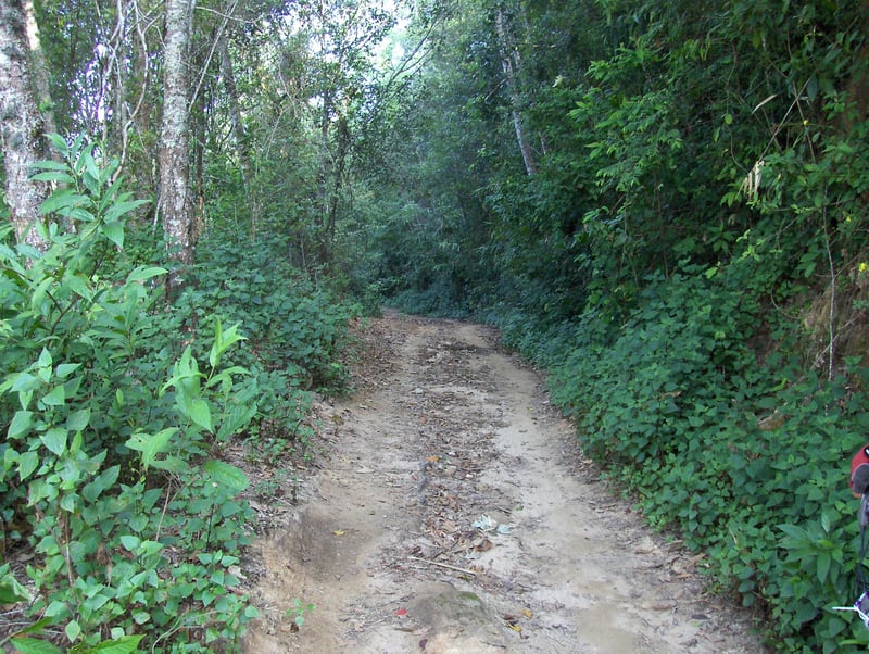 Full-Day Eliminator Off Road XC Mountain Bike in Chiang Mai, photo 5