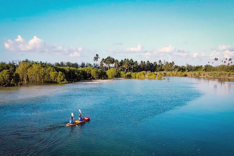 Mangrove Kayaking in Mafia Island, photo 2