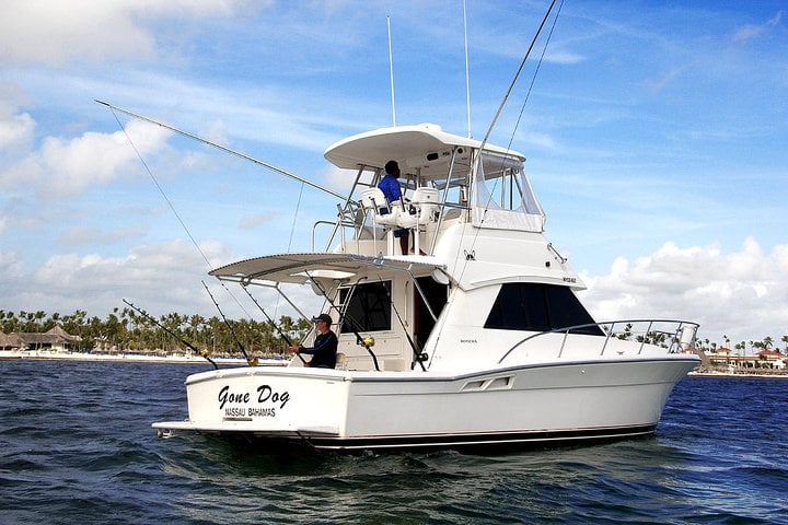 Offshore Deep Sea Fishing Charter on 37ft Boat in Punta Cana, photo 2