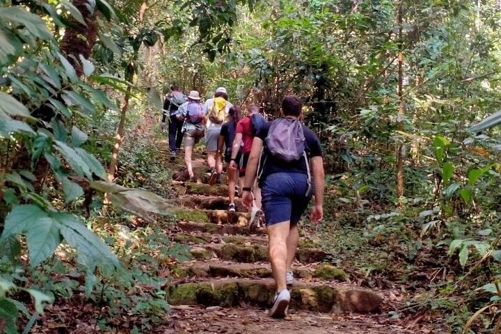 7-Hour Doi Suthep National Park Summit Hike in Chiang Mai, photo 5