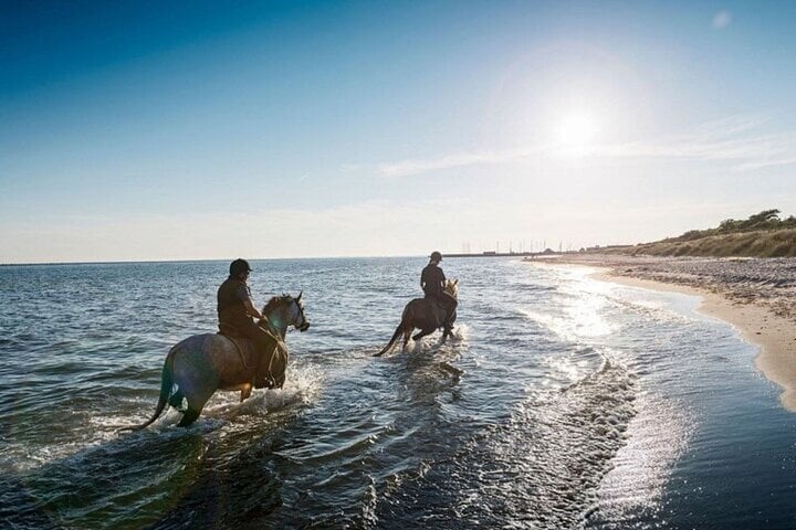 2 Hour Horse Ride at Nabq Bay Beach with Transfer in Sharm El Sheikh, photo 2