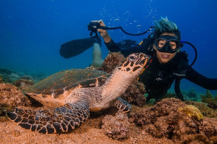 Scuba Diving at Los Arcos in Puerto Vallarta, photo 3