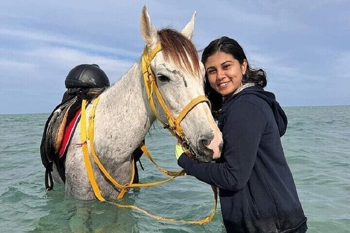 Swimming by Horse: 3 Hours on Beach and Desert with Transfer in Hurghada, photo 4