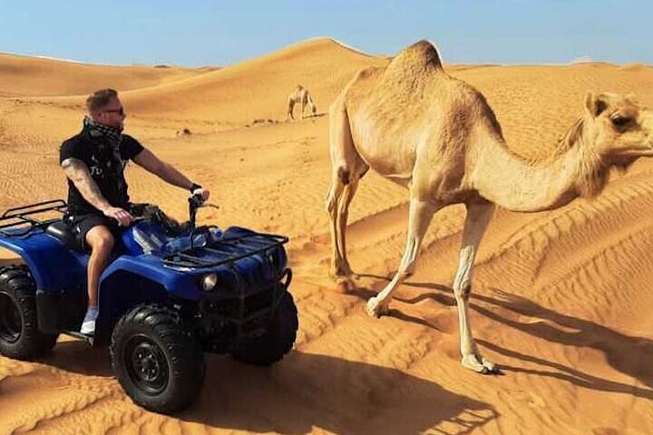 Discover Takad Forest and the Coastline on an ATV Quad Bike in Agadir, photo 2