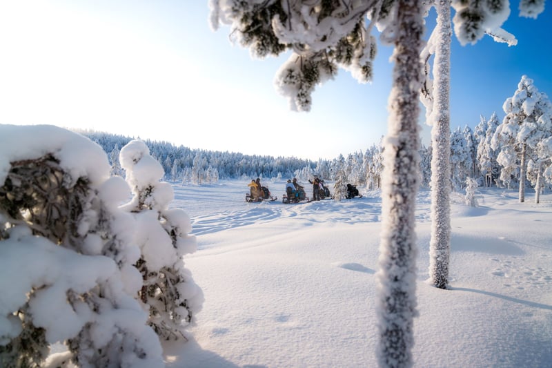 Snowmobile and Snowshoe Safari in Rovaniemi, foto 5