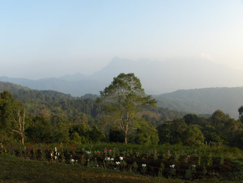 Full-Day Eliminator Off Road XC Mountain Bike in Chiang Mai, photo 4