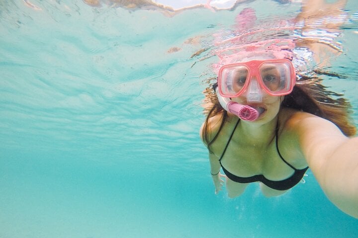 Private Speedboat & Snorkelling with Transfer in Marsa Alam, photo 4