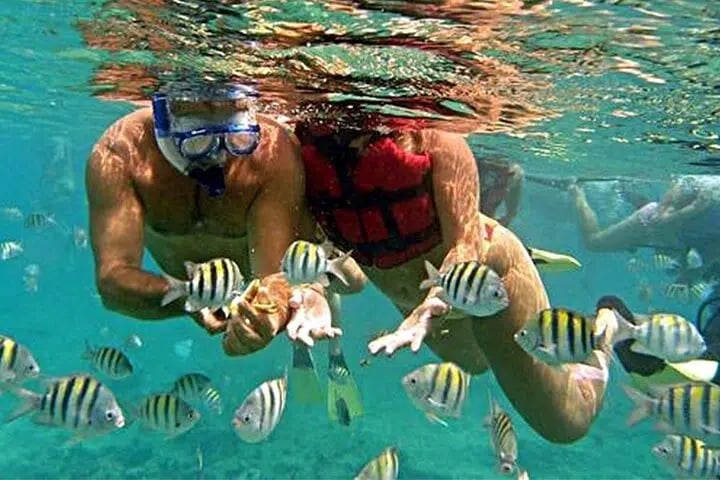 Shore Excursion Snorkelling with Sloths, Monkeys and Beach Break in Roatan, photo 5
