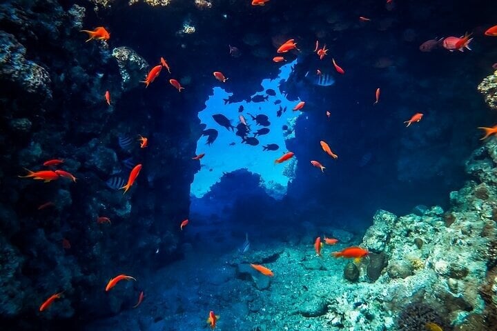 Snorkelling at Blue Hole with Camel Ride and Lunch in Sharm El Sheikh, photo 4