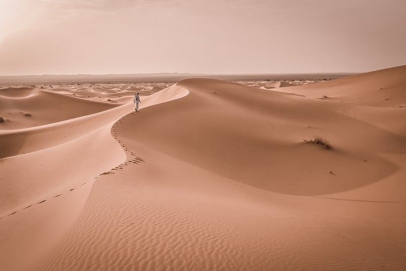 Camel Trekking in the Sahara, photo 5