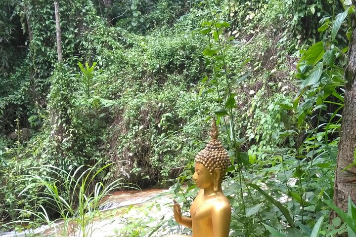 3-Hour Monk Trail Hike to Wat Doi Suthep in Chiang Mai, photo 4