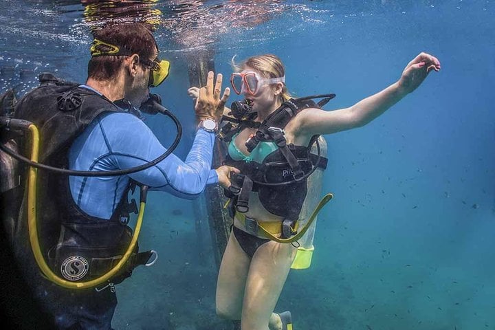 Beginner Scuba Course in Puerto Vallarta, photo 5