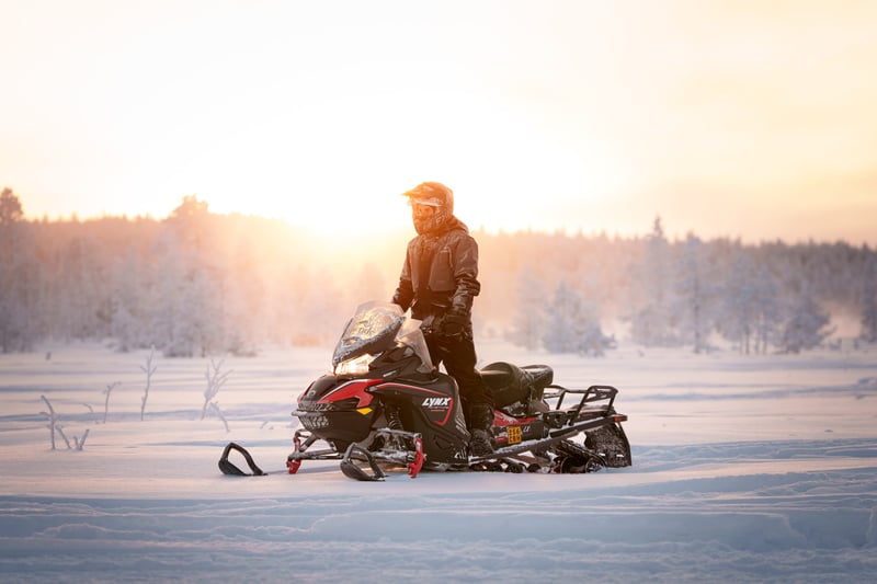 Snowmobile Safari in Rovaniemi, foto 3