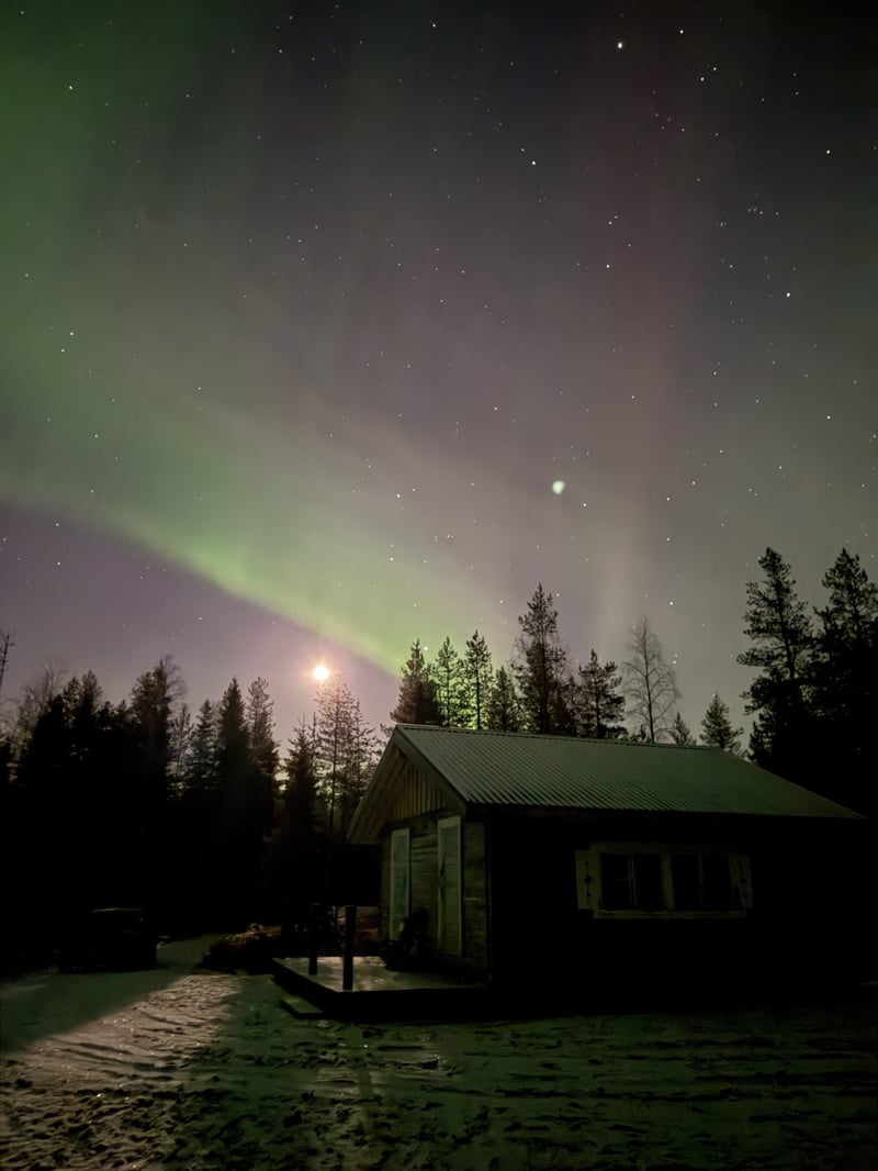 Electric Reindeer Safari to Aurora Cabin for Northern Lights in Rovaniemi, Lapland, photo 4