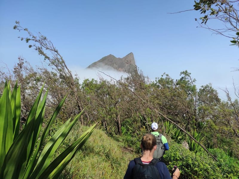 Guided Hike to Pico da Antónia on Santiago Island, photo 2