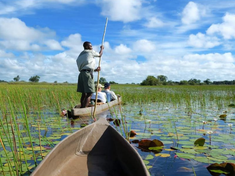 Mokoro Hike and Camp in the Okavango, photo 2