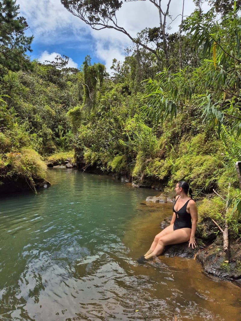 Waterfall Hiking at Mare Longue in Vacoas, photo 4