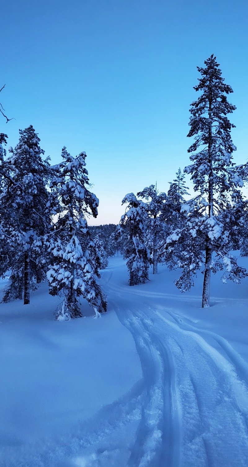 Taste of Wilderness Snowmobile Safari in Rovaniemi, photo 4