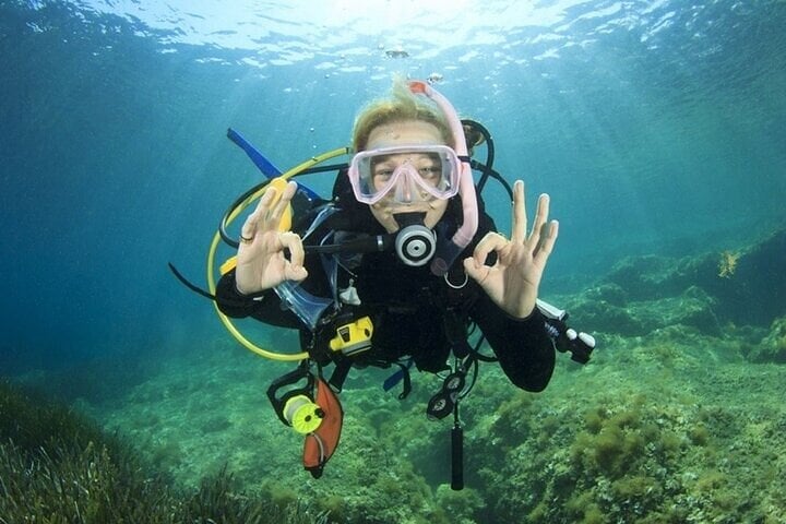 PADI Advanced Diving Course and Transfer with Lunch in Marsa Alam, photo 5
