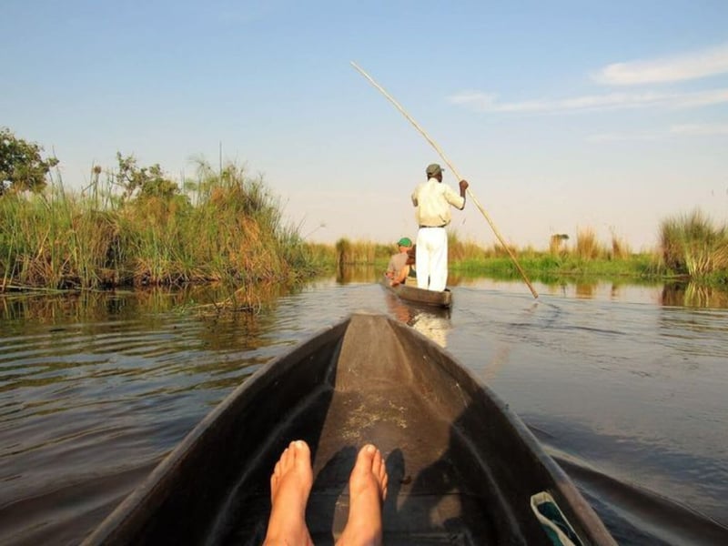 Mokoro Hike and Camp in the Okavango, photo 5