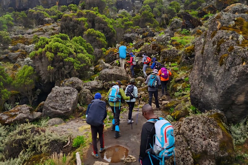 Ascension de six jours du Machame à Moshi, photo 5