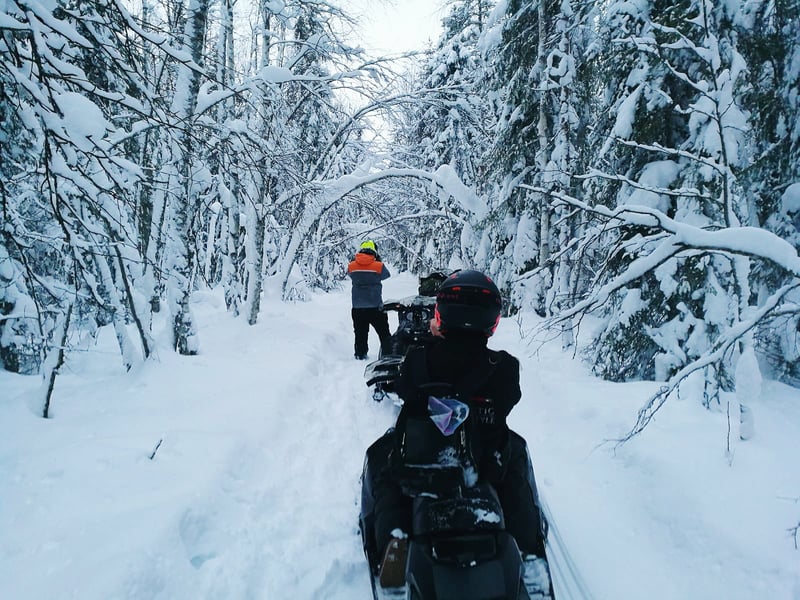 Avventura in motoslitta nella natura selvaggia di Rovaniemi, foto 4