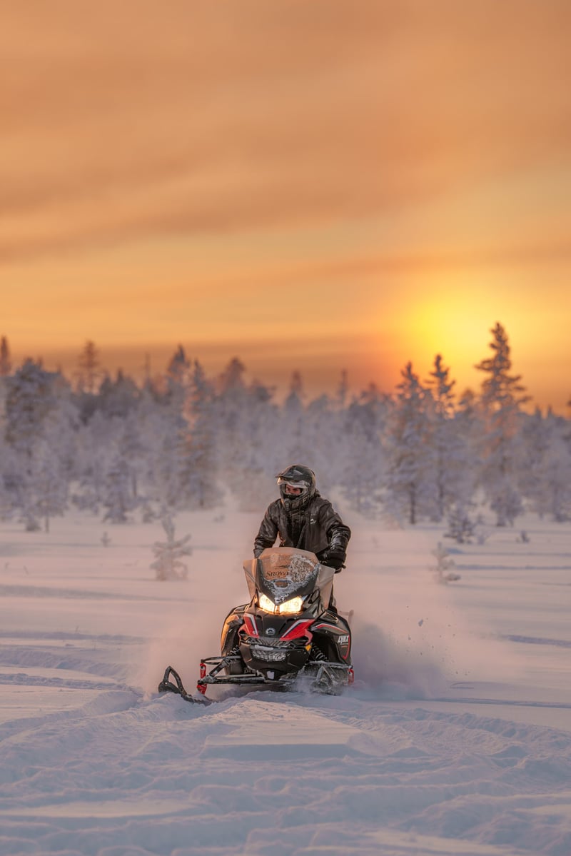 Snowmobile Photography Tour in Rovaniemi, photo 4