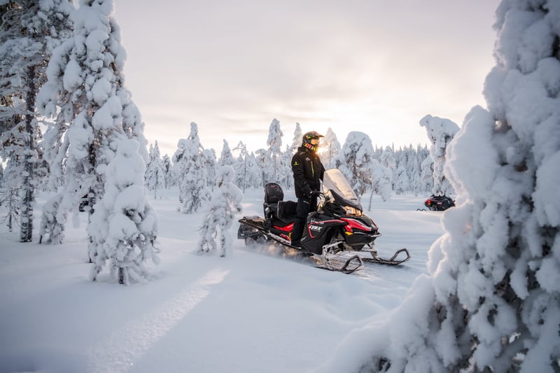 Snowmobile and Snowshoe Safari in Rovaniemi, foto 4