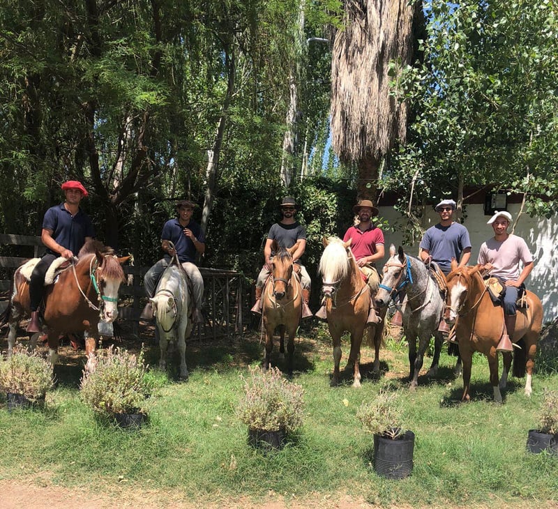 Horseback Riding in Lunlunta, photo 2