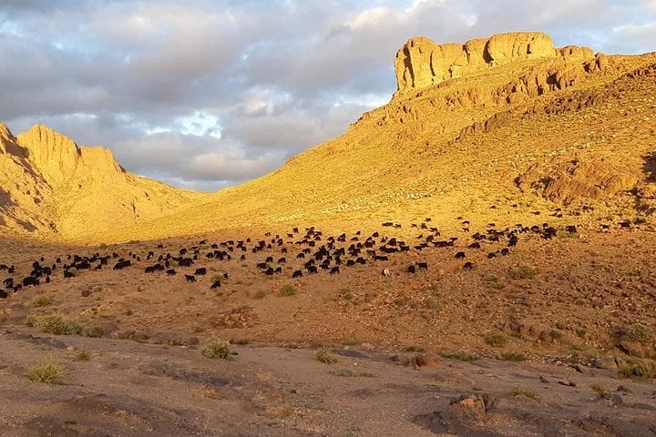 Saghro Trekking in Morocco, photo 4