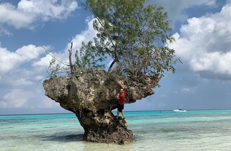 Snorkelling at Njau Island in Pemba, photo 2