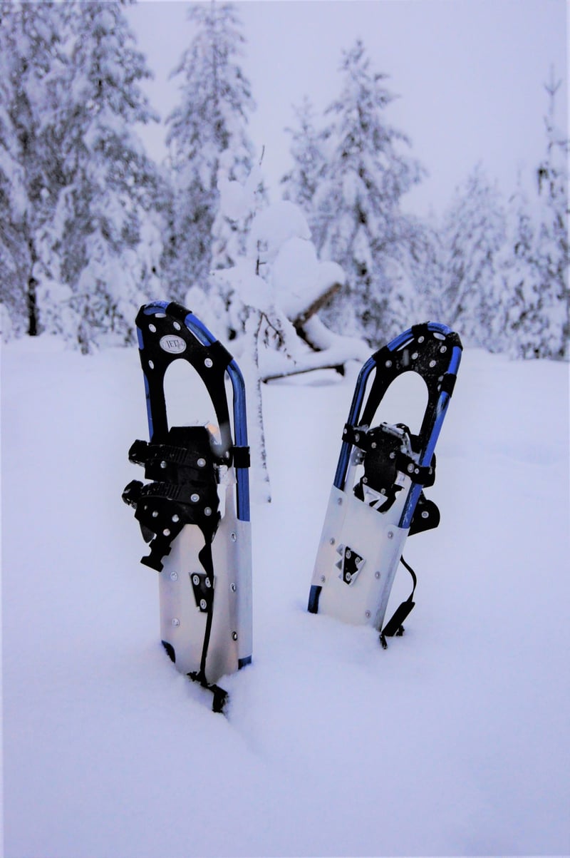Snowshoe Hiking in Rovaniemi, photo 2