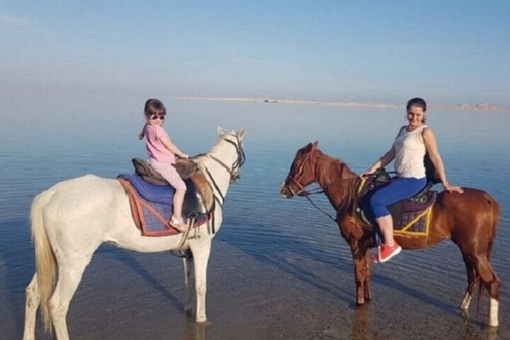 2 Hour Horse Ride at Nabq Bay Beach with Transfer in Sharm El Sheikh, photo 3