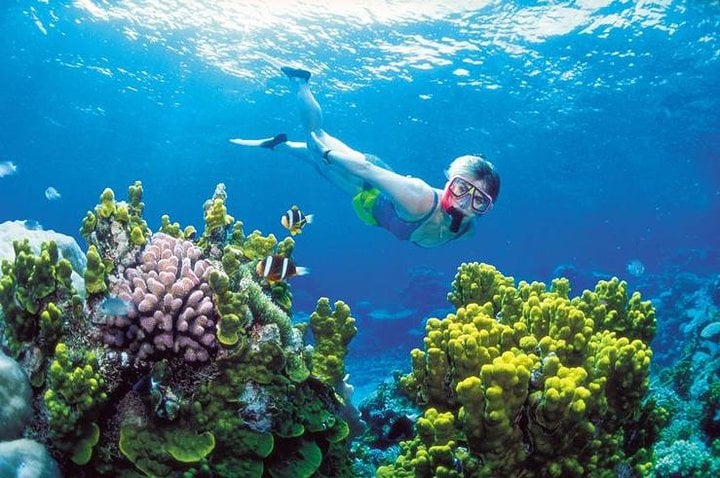 Snorkel, ATV, Zip Line and Cenote Day in Cancún, photo 5