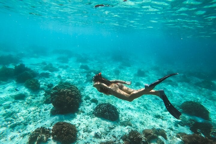 Private Speedboat & Snorkelling with Transfer in Marsa Alam, photo 3
