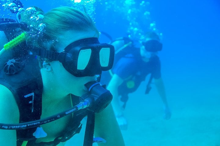 Beginner Scuba Course in Puerto Vallarta, photo 3