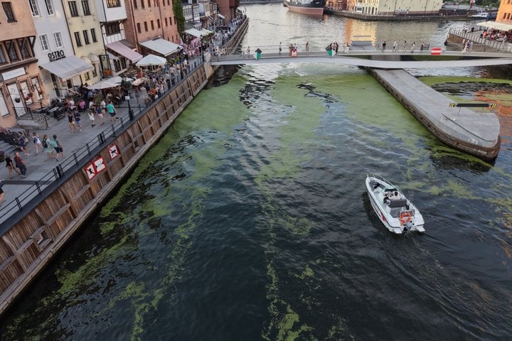 Private Self-Drive Electric Boat Rental in Gdańsk, photo 5